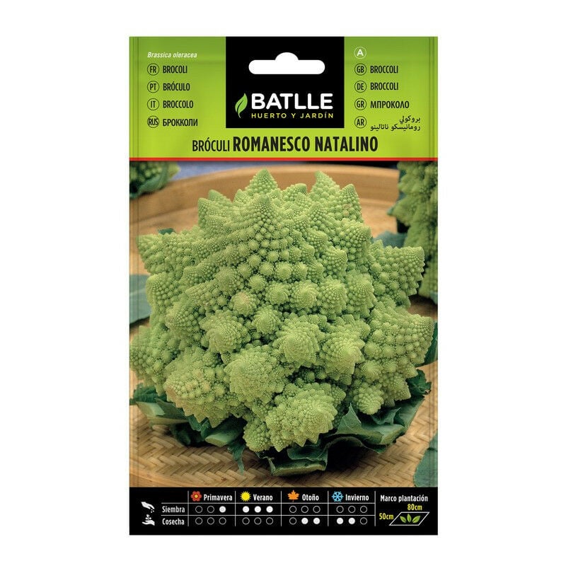 Semillas Batlle - Natalino Romanesco brocoli