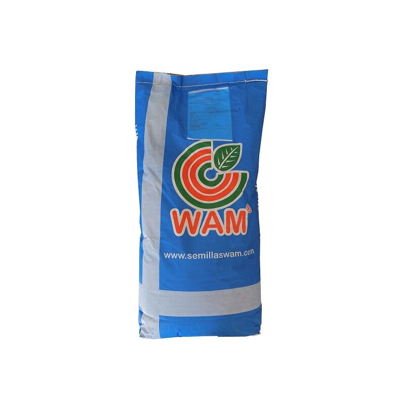 WAM - graines de cђlђs rays grassion Italien saco 5 kg