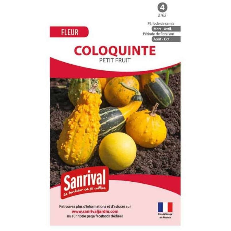 Sanrival - Graines de Coloquinte : Guide Pratique