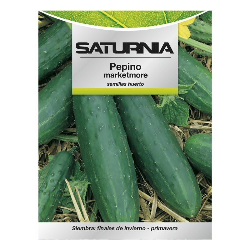 Saturnia - Graines de concombre Marketmore (5 grammes)
