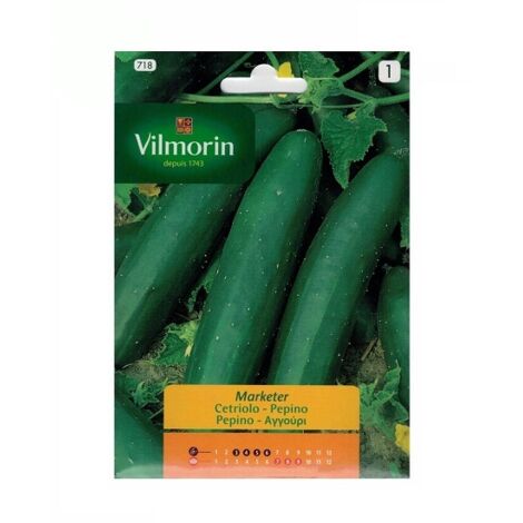Graines de concombre Vilmorin 5g