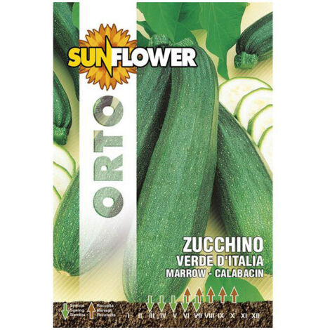 Graines de courgette verte d'Italie Tournesol