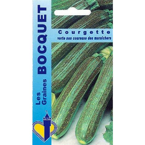 Graines de courgette verte non coureuse – Semis de mars à juin – Non hybrides, reproductibles – Environ 30 graines – 5g – Graines Bocquet