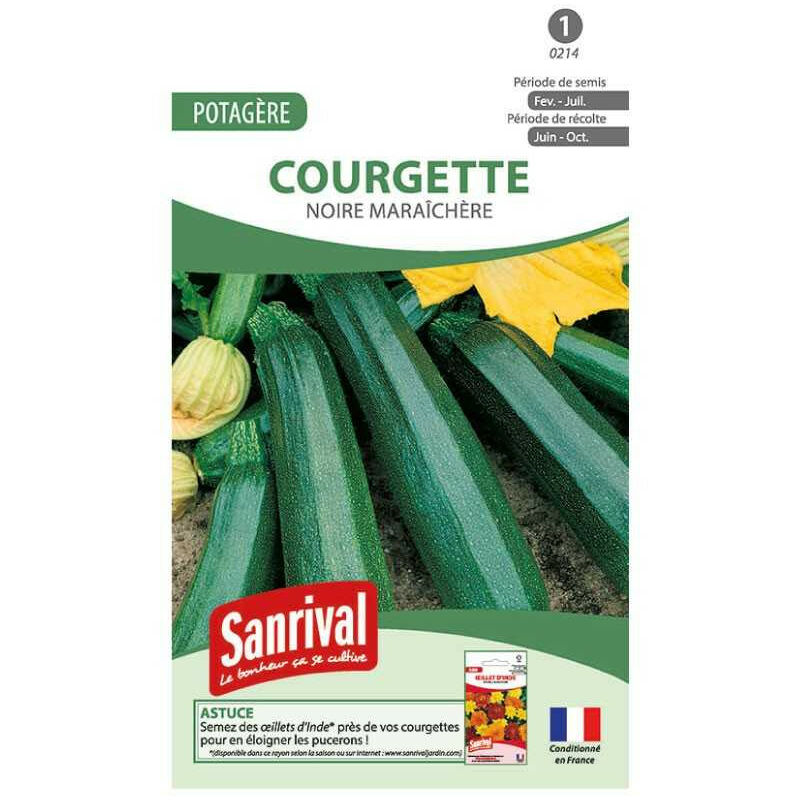 Sanrival - Graines de Courgettes