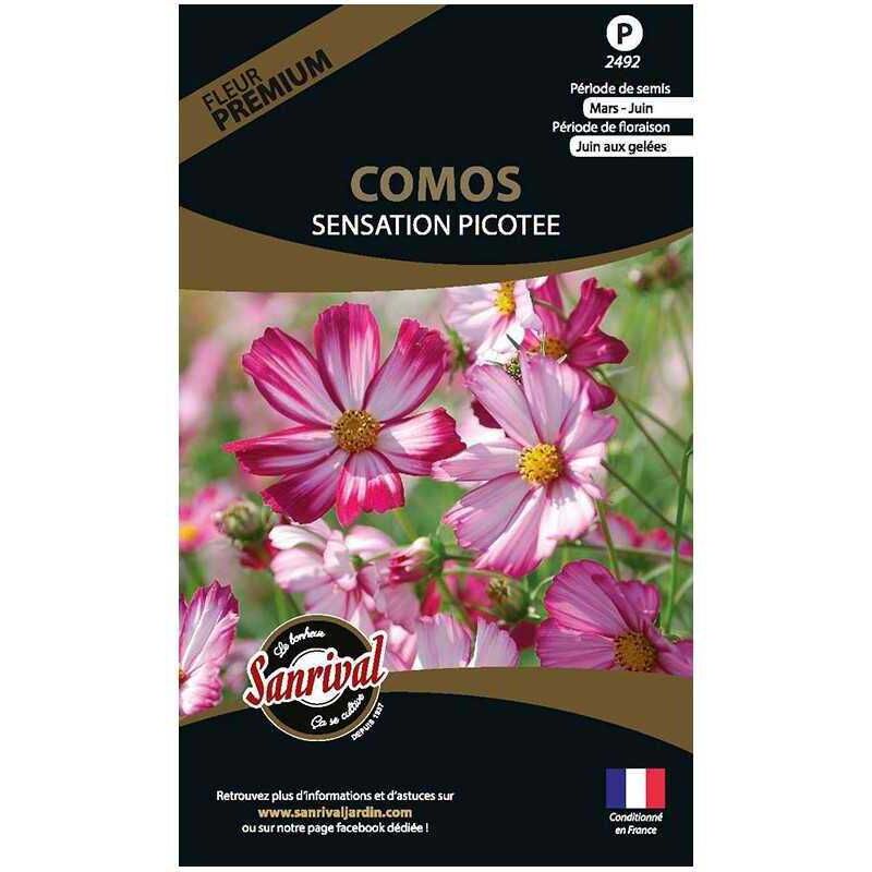 Sanrival Premium - Graines de fleurs premium Cosmos sensation picotée