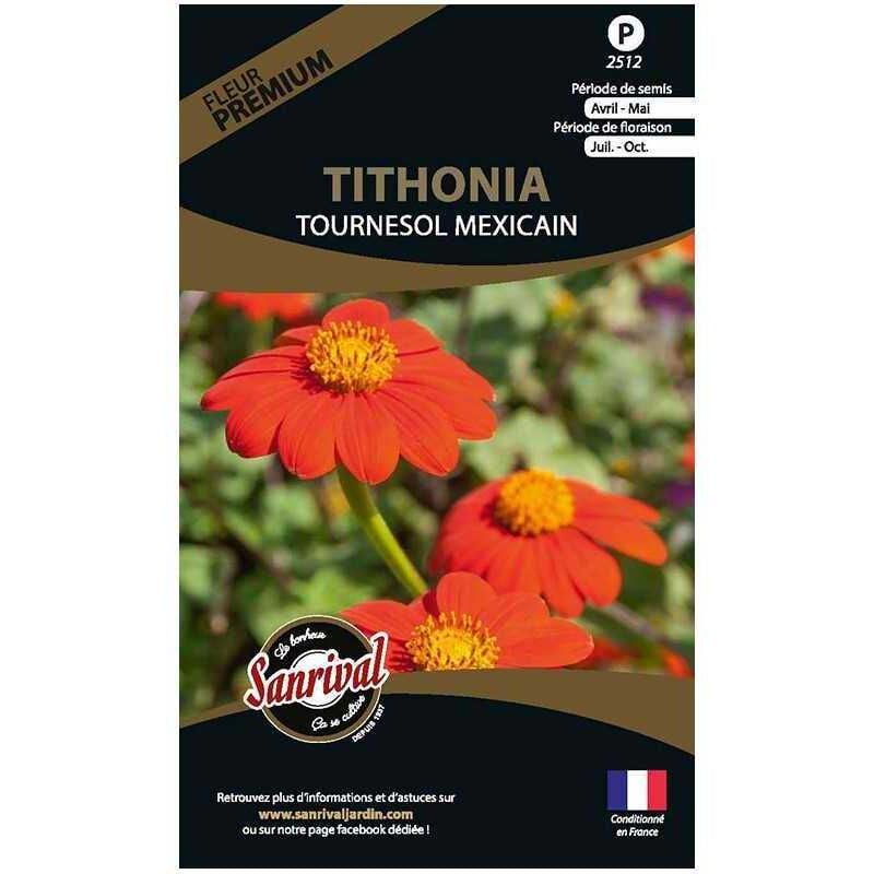 Sanrival Premium - Graines de fleurs premium tithonia tournesol mexicain