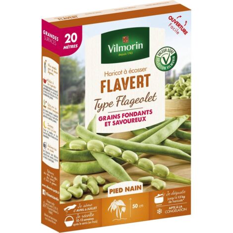 Graines de Haricot à écosser Flavert 20m type Flageolet - Phaseolus Vulgaris