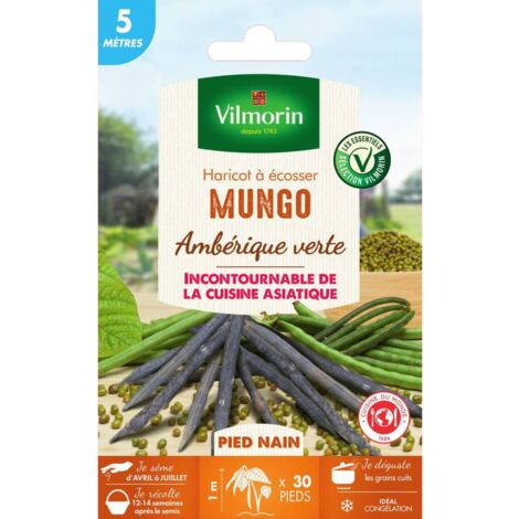 Graines de Haricot à écosser Mungo 5 mètres