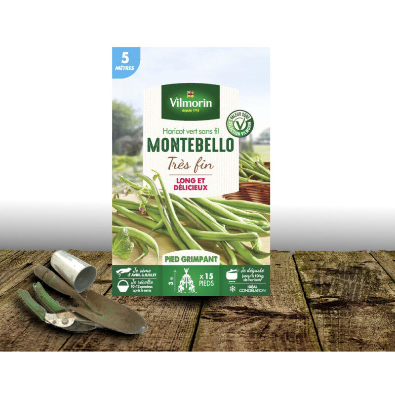 Graines de Haricot Grimpant Montebello