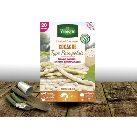 Graines de Haricot nain à écosser Cocagne