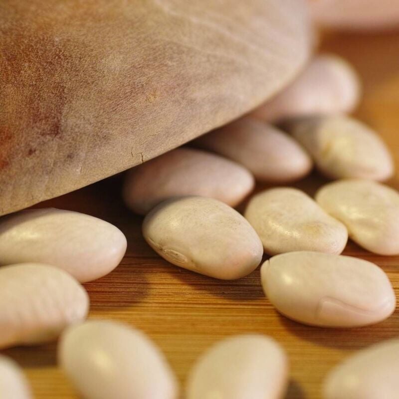 Graines de Haricot nain à écosser Coco blanc/Sachet de 150 gr.