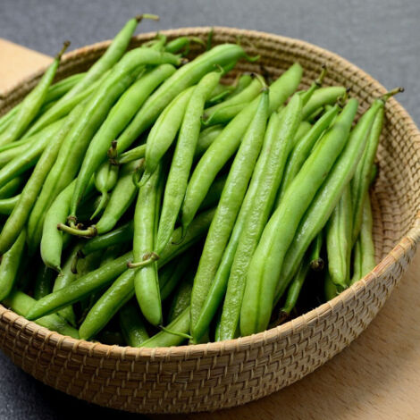 Graines de Haricot Nain mangetout Divinel - Vilmorin/Sachet