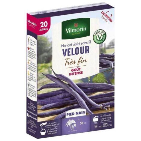 Graines de Haricot nain mangetout VELOUR 20 mètres