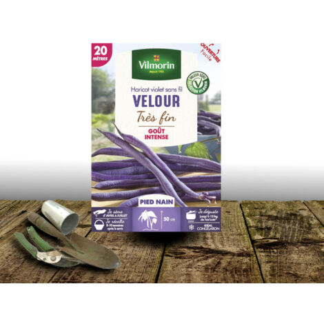 Graines de Haricot Nain mangetout Velour - Vilmorin/Boite - 20 mètres