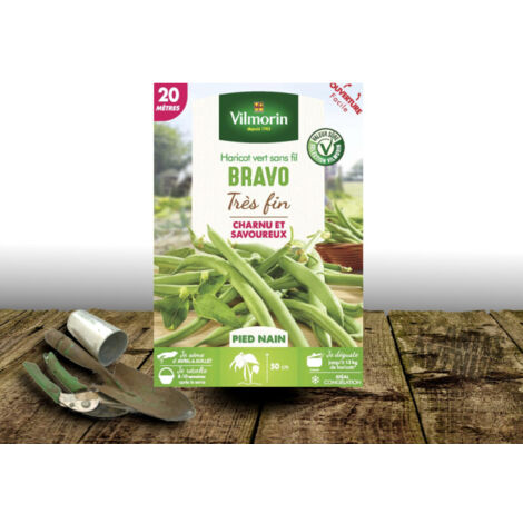 Graines de Haricot Nain vert sans fil Bravo - Vilmorin/Boite - 20 mètres