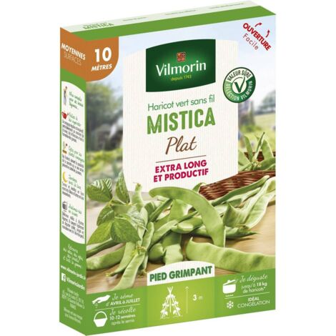Graines de Haricot vert sans fil MISTICA plat - 10 mètres - vilmorin