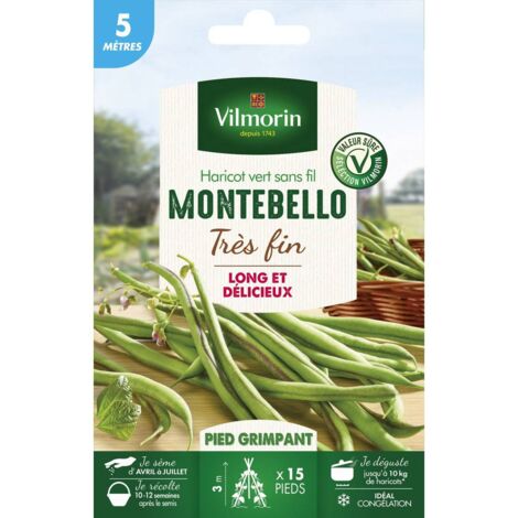Graines de Haricot vert sans fil Montebello très fin - 5 mètres - Vilmorin