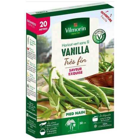 Graines de Haricot vert sans fil VANILLA - 20 mètres