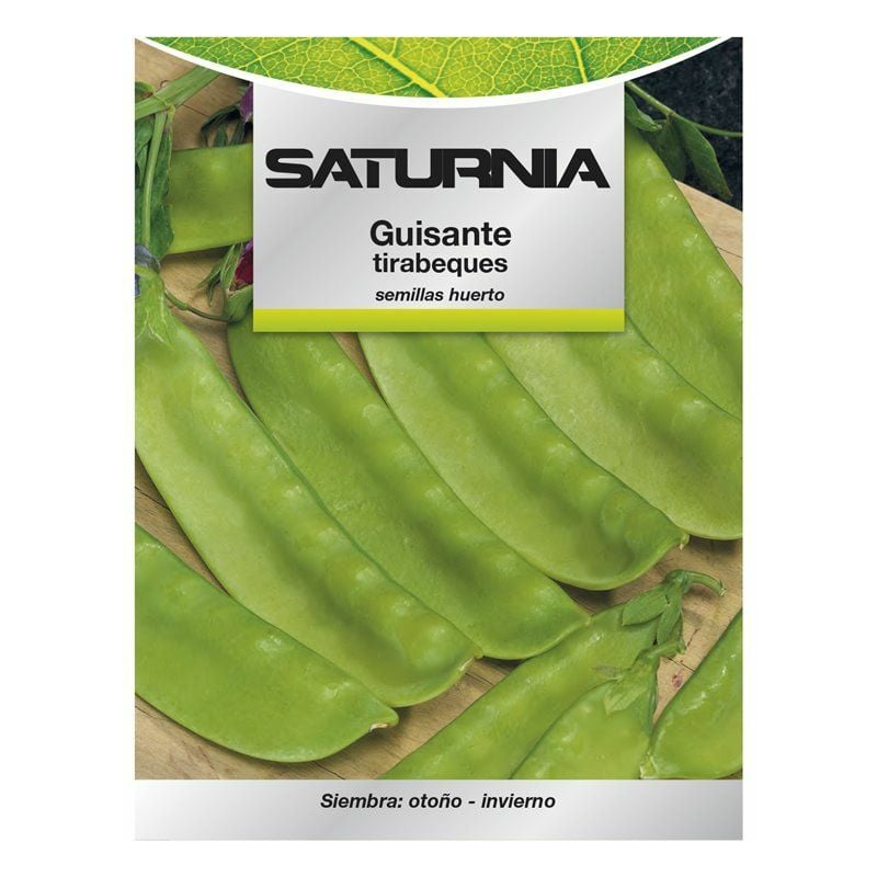 Saturnia - Graines de pois mange-tout du verger