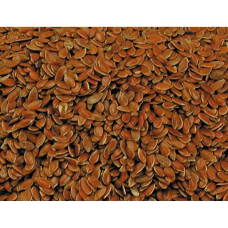 Graines de lin 20 kg