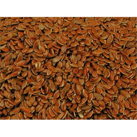 Graines de lin 4 kg
