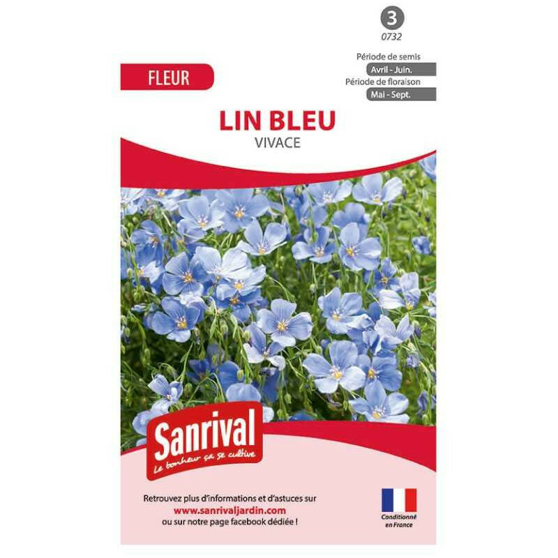Sanrival - Graines de lin bleu vivace