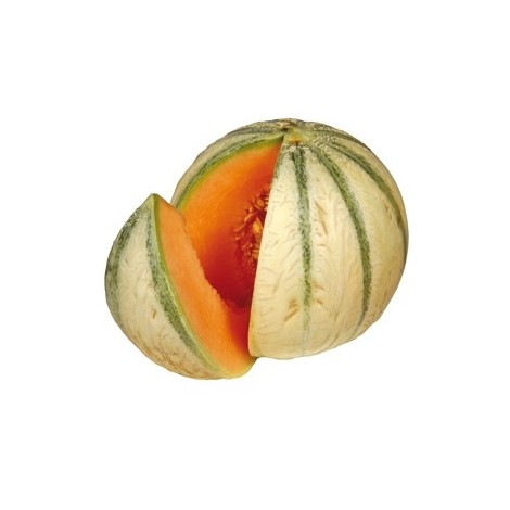 graines de Melon Charentais - sachet de 25 graines (1g)