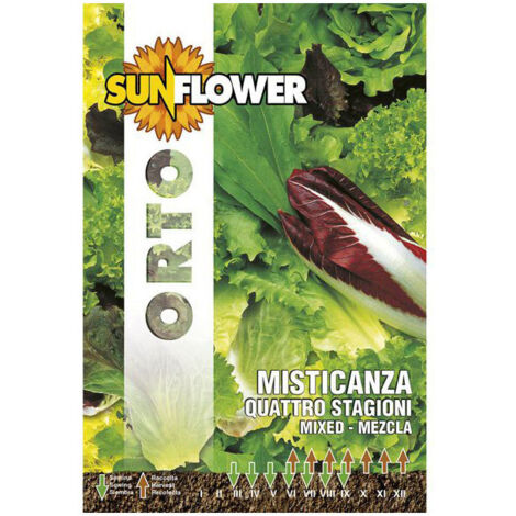 Graines de Misticanza Quatre Saisons Tournesol