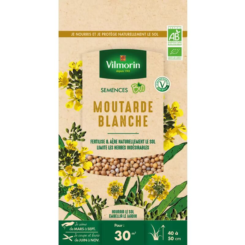 Vilmorin - Graines de Moutarde blanche bio , sachet de 60 grs