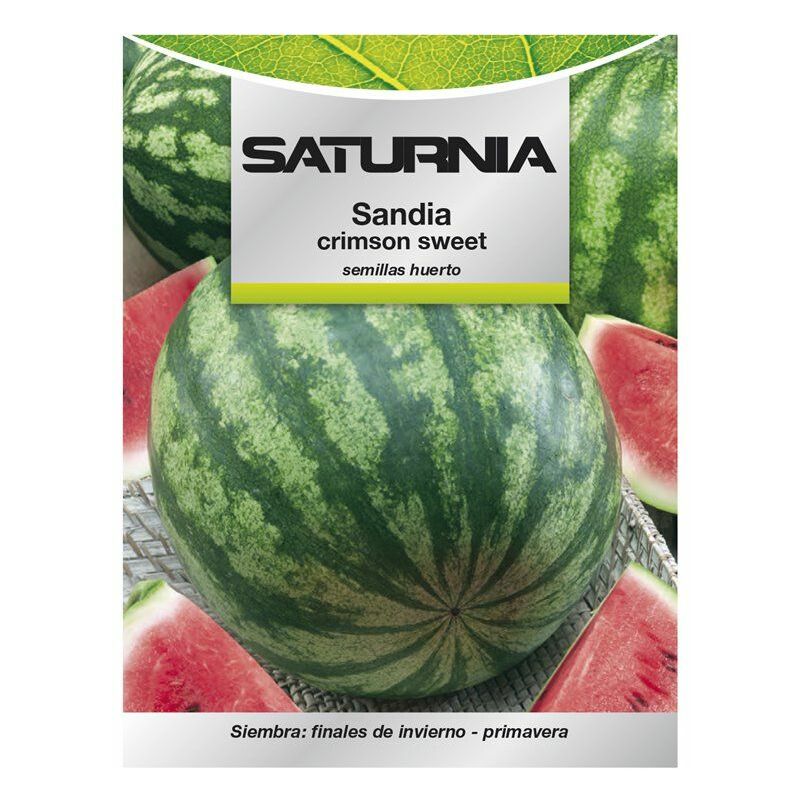 Saturnia - Graines de verger de pastèque