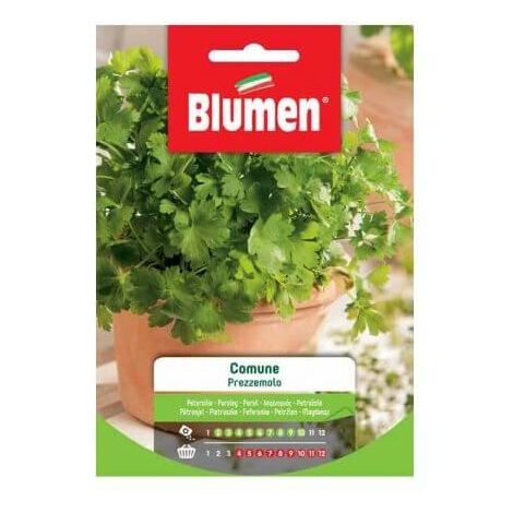 Graines de persil commun Blumen