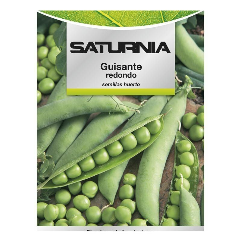 Saturnia - Graines de petits pois