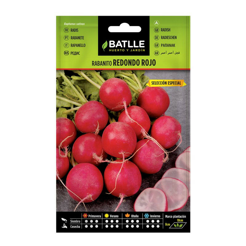 Rouge radis rouge Sel. SPECIAL