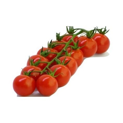 graines de Tomate Cerise - sachet de 70 graines (0,5g)
