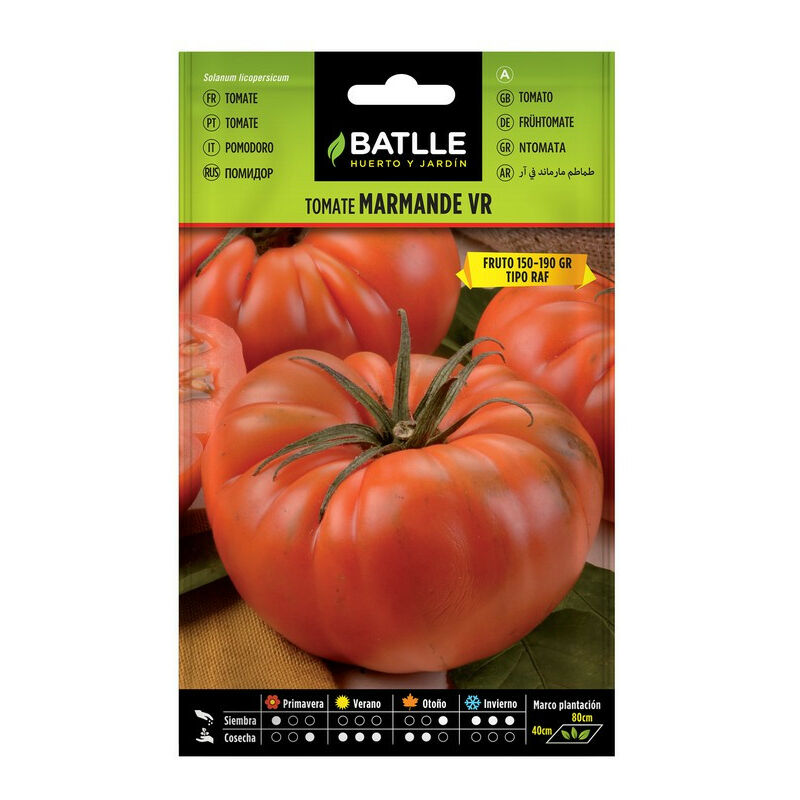 Vr tomate de Marmande - Pays-Bas