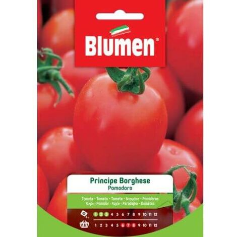 Graines de Tomate Prince Borghese Blumen