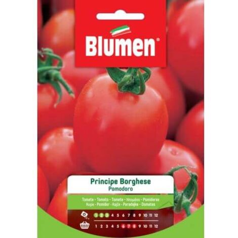 Graines de Tomate Prince Borghese Blumen