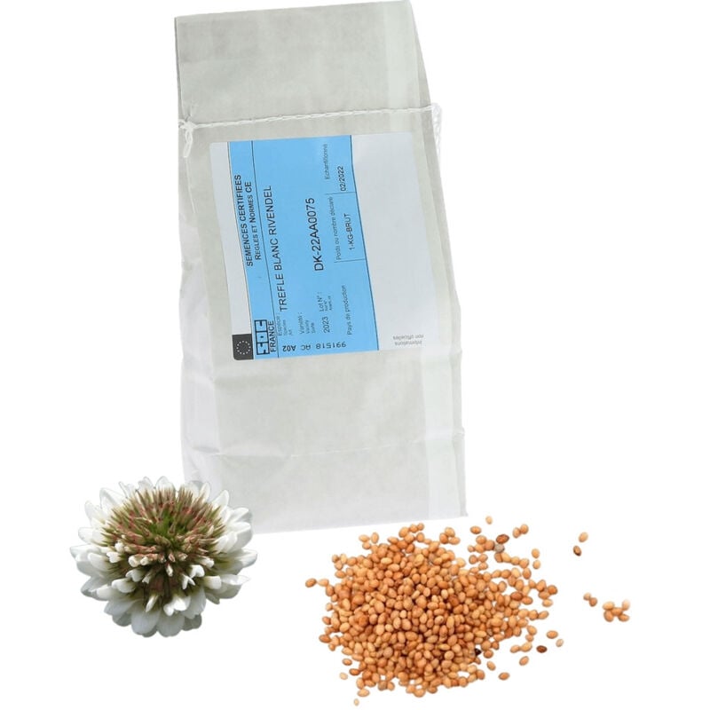 Graines de Trèfle blanc 1kg