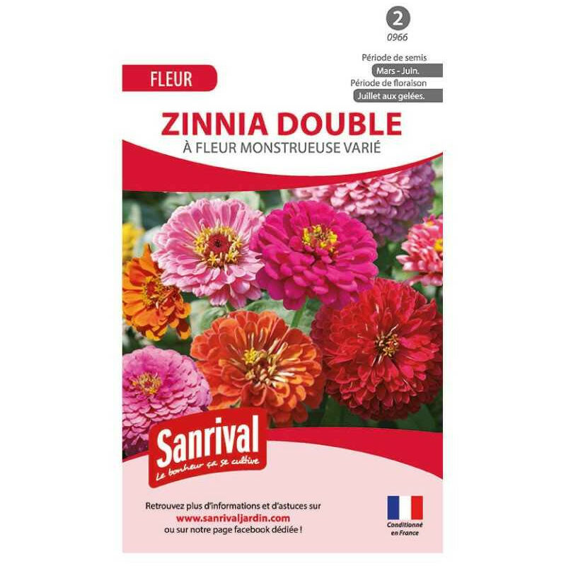 Sanrival - Graines de Zinnia Double varié