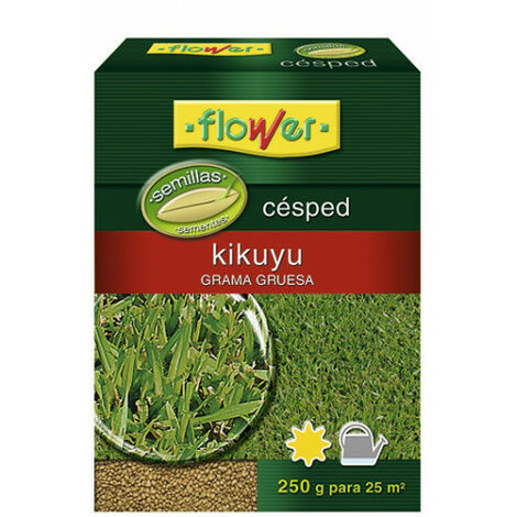 Graines d'herbe Kikuyu 250 Gr | Flower