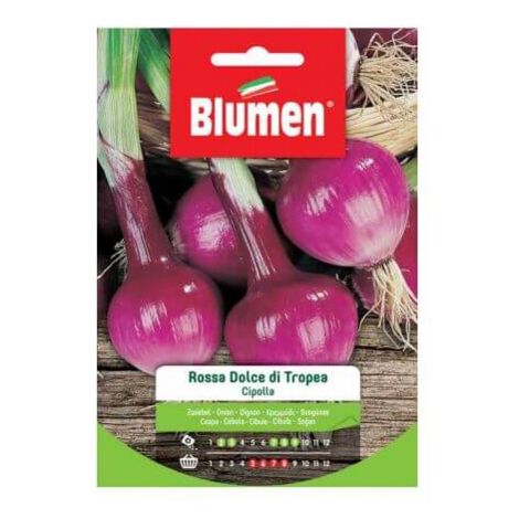 Graines d'oignon rouge doux de Tropea Blumen