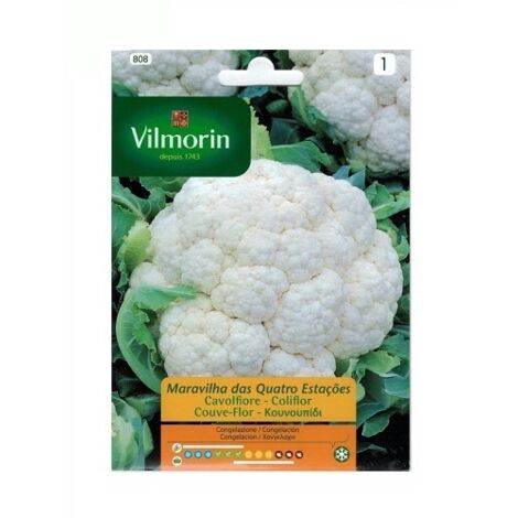 Graines du chou-fleur Four Seasons Vilmorin 2G