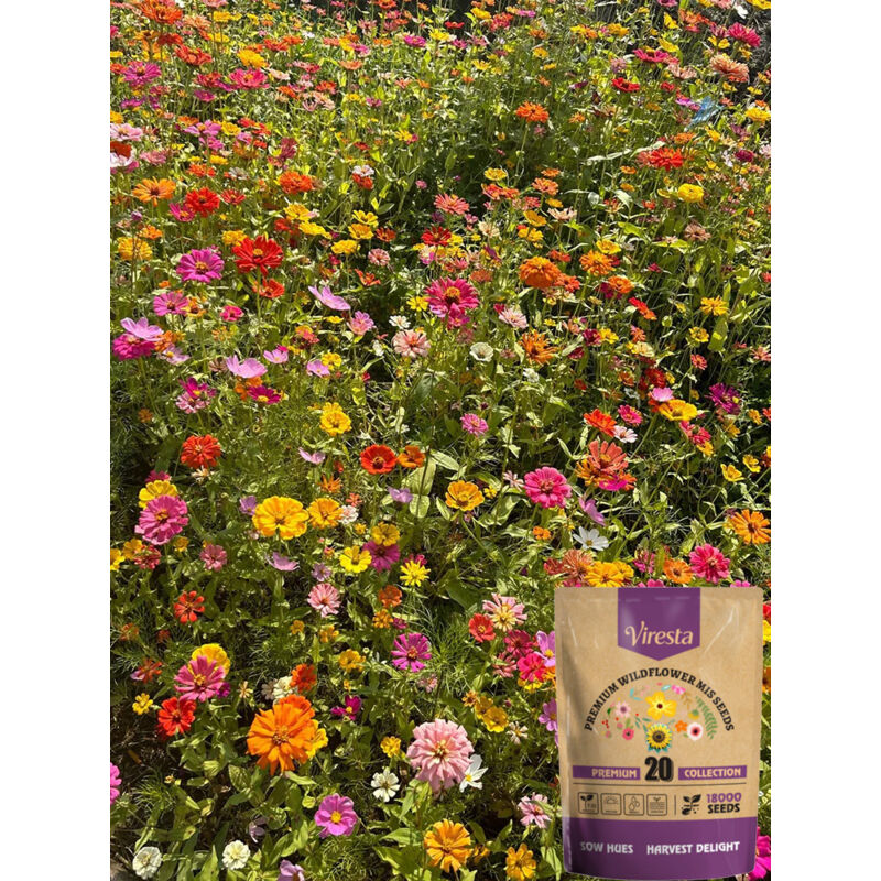 Graines Fleurs Sauvages Mélange 20000 – Semences Extérieur, Floraison Longue et Facile à Cultiver