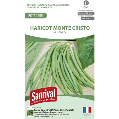 Graines Haricot à rames Monte Cristo