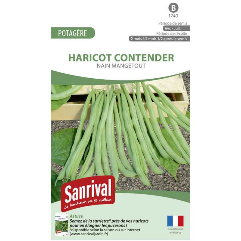 Sanrival - Graines Haricot Contender
