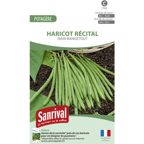 Graines Haricot Nain mangetout Casdantel