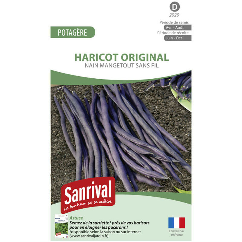 Sanrival - Graines Haricot Nain Violet Amethyst