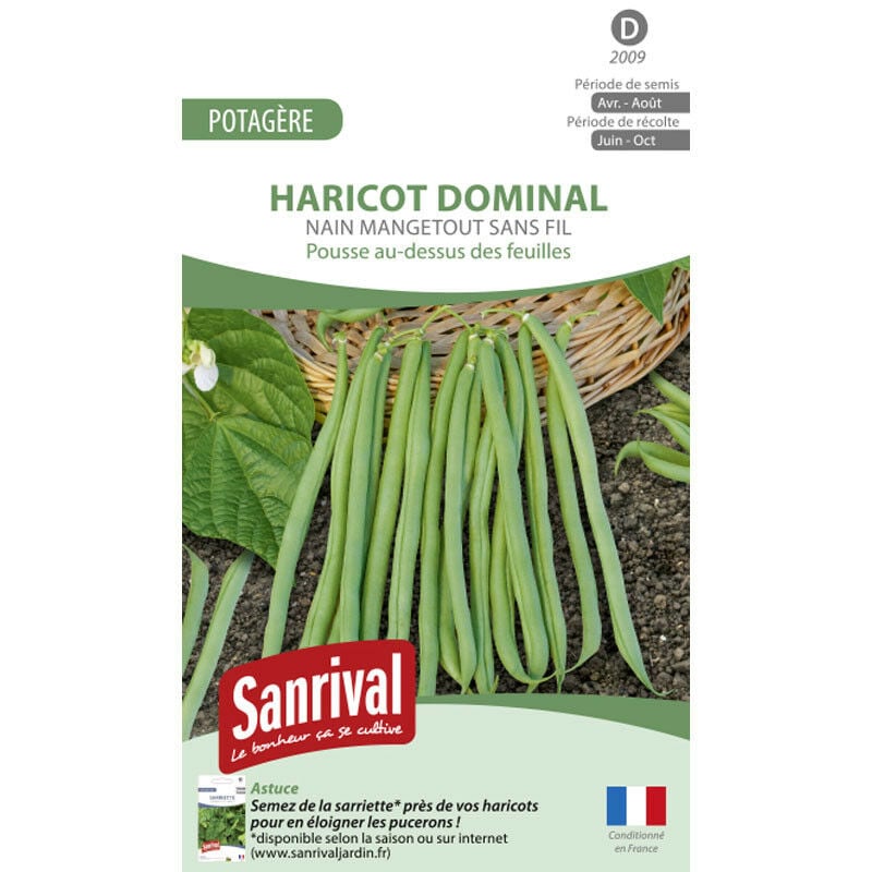 Sanrival - Graines Haricot Sansoucy Mangetout Sans Fil