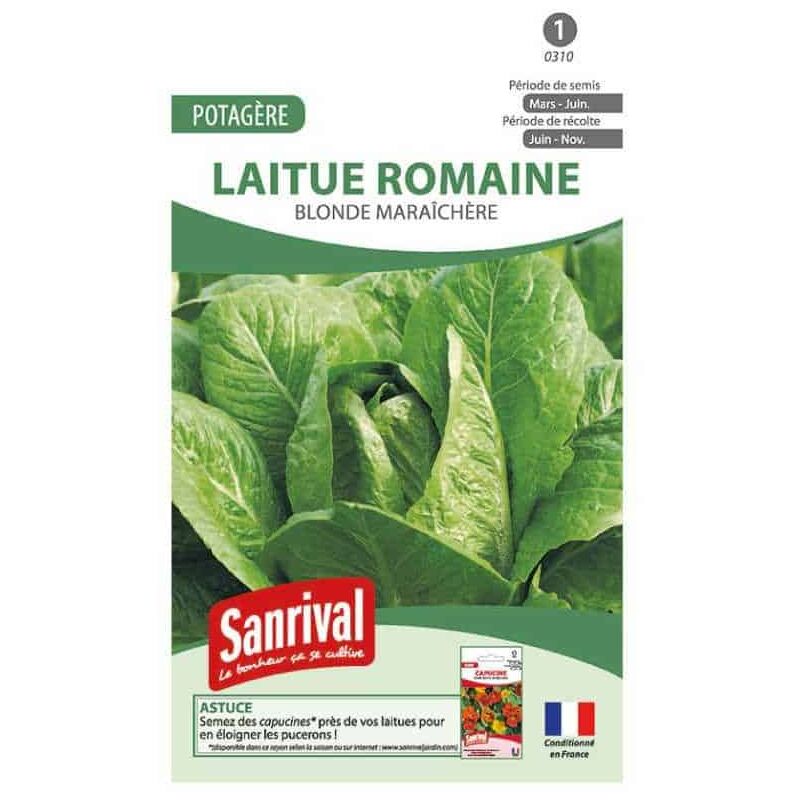 Sanrival - Graines Laitue Romaine