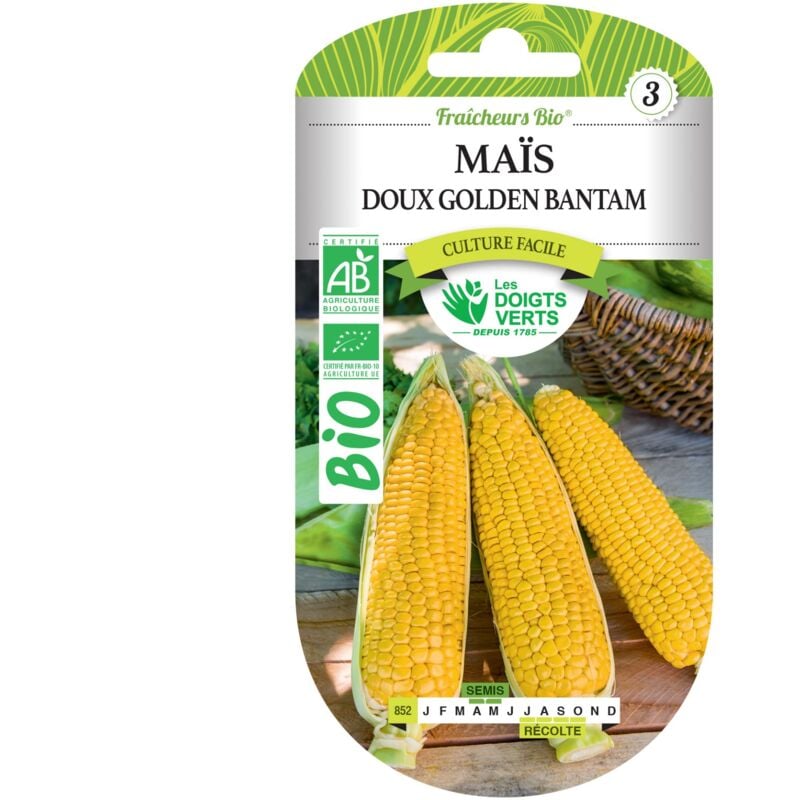 Les Doigts Verts - Graines maïs doux Golden Bantam bio